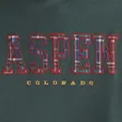 Abercrombie & Fitch Aspen Graphic Popover Hoodie In Green