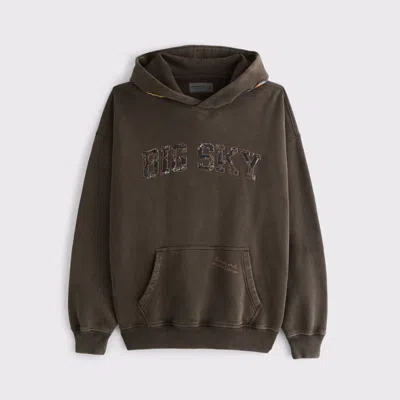 Abercrombie & Fitch Essential Popover Hoodie In Brown