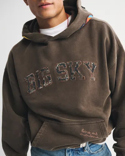 Abercrombie & Fitch Essential Popover Hoodie In Brown