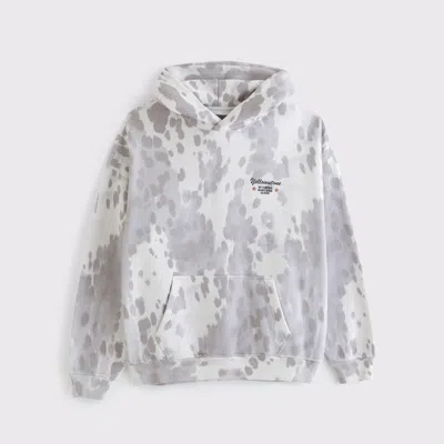 Abercrombie & Fitch Yellowstone Graphic Popover Hoodie In Yellow