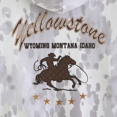 Abercrombie & Fitch Yellowstone Graphic Popover Hoodie In Yellow