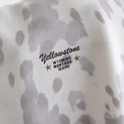 Abercrombie & Fitch Yellowstone Graphic Popover Hoodie In Yellow