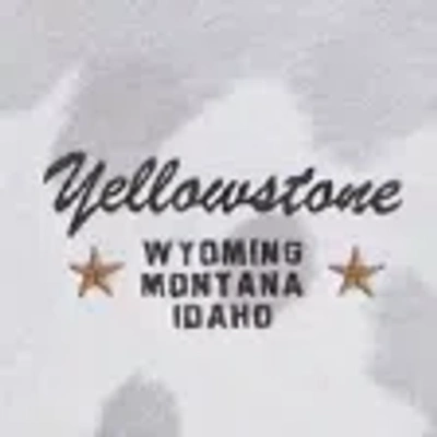 Abercrombie & Fitch Yellowstone Graphic Popover Hoodie In Yellow