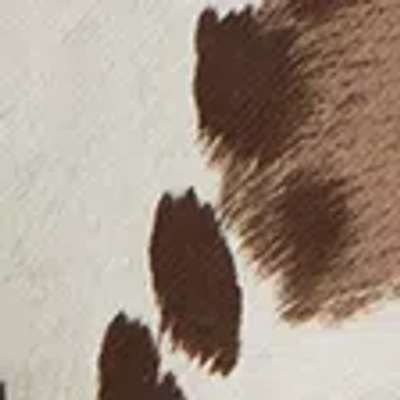 Abercrombie & Fitch Essential Popover Hoodie In Multi