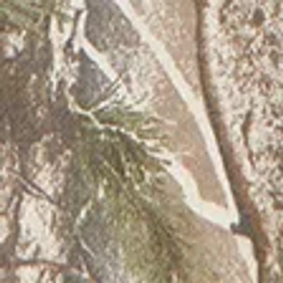 Abercrombie & Fitch Essential Popover Hoodie In Multi