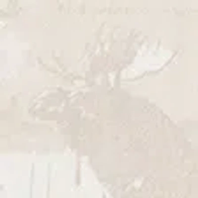 Abercrombie & Fitch Essential Popover Hoodie In Neutral