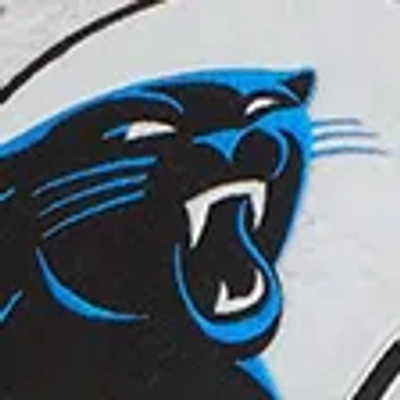 Abercrombie & Fitch Carolina Panthers Graphic Popover Hoodie In Brown