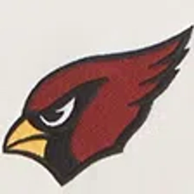 Abercrombie & Fitch Arizona Cardinals Graphic Popover Hoodie In Black