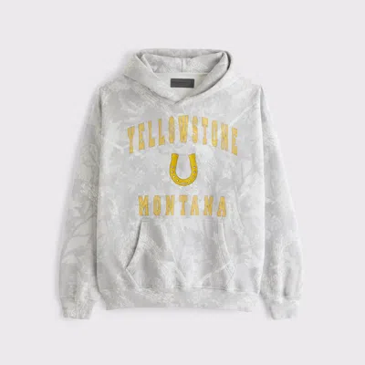 Abercrombie & Fitch Yellowstone Graphic Popover Hoodie In White
