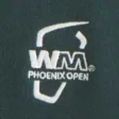 Abercrombie & Fitch Wm Phoenix Open Graphic Crew Sweatshirt In Green