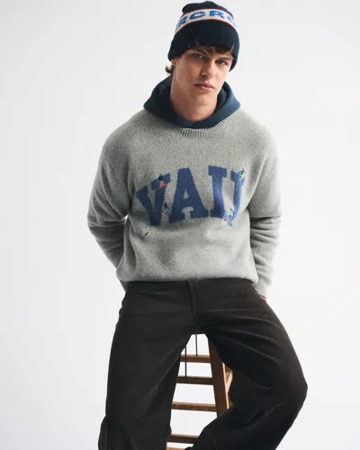 Abercrombie & Fitch Oversized Vail Graphic Crew Sweater In Gray