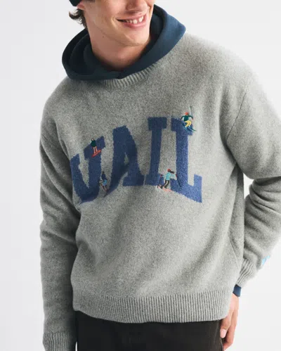 Abercrombie & Fitch Oversized Vail Graphic Crew Sweater In Gray