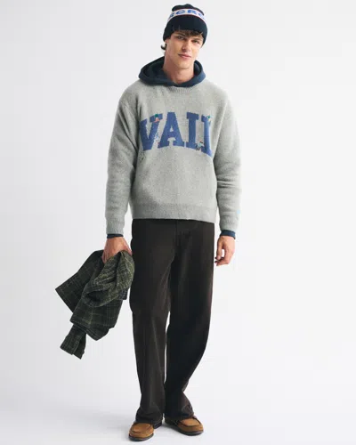 Abercrombie & Fitch Oversized Vail Graphic Crew Sweater In Gray