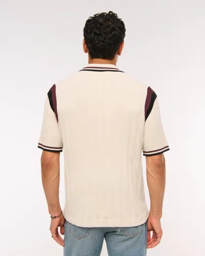 Abercrombie & Fitch Preppy Zip Sweater Polo In Brown