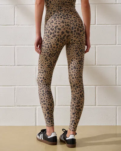 Abercrombie & Fitch Ypb Sculptlux 7/8-length Legging In Animal Print