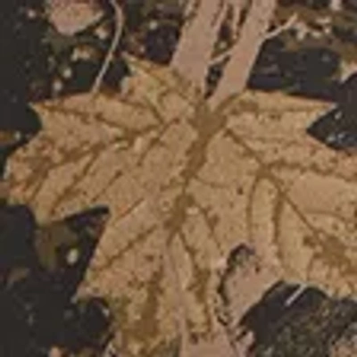 Abercrombie & Fitch Ypb Neoknit Max Popover In Brown