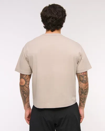 Abercrombie & Fitch Ypb Active Heavyweight Cotton Tee In Brown