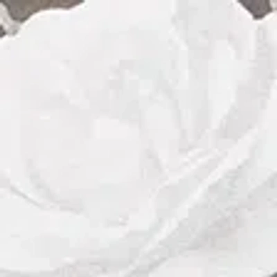 Abercrombie & Fitch Long-sleeve Off-the-shoulder Graphic Tee In White