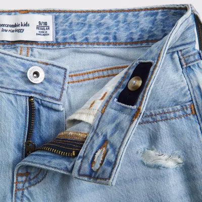 Abercrombie & Fitch Low Rise Baggy Jeans