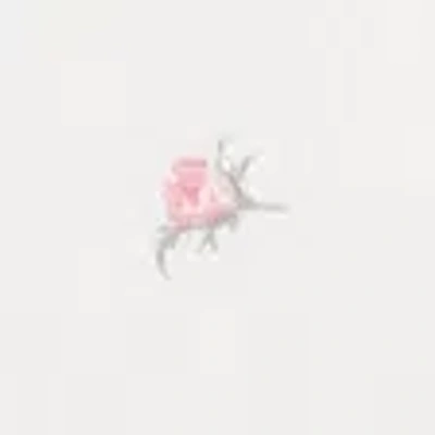 Abercrombie & Fitch Essential Popover Hoodie In Neutral