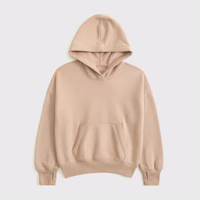 Abercrombie & Fitch Essential Popover Hoodie In Brown