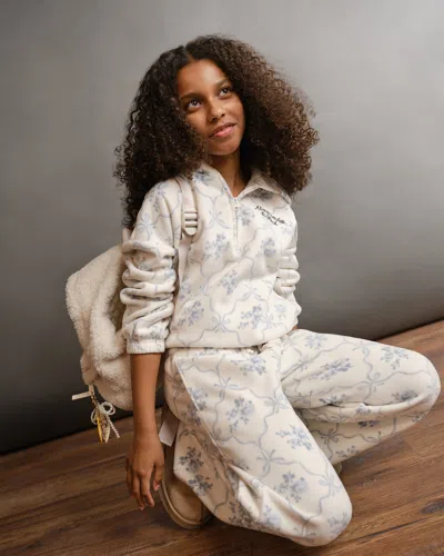 Abercrombie & Fitch Cozy Half-zip Popover Hoodie In Brown