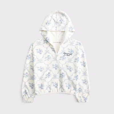 Abercrombie & Fitch Cozy Half-zip Popover Hoodie In Brown