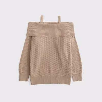 Abercrombie & Fitch Slouchy Off-the-shoulder Sweater In Brown