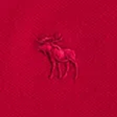 Abercrombie & Fitch Icon Polo In Red