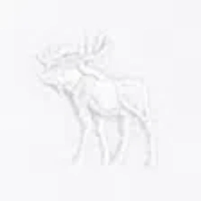 Abercrombie & Fitch Icon Polo In White