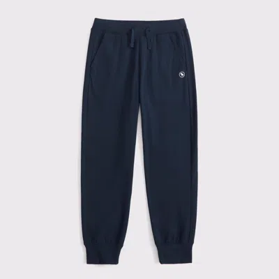 Abercrombie & Fitch Ypb Core Joggers In Blue