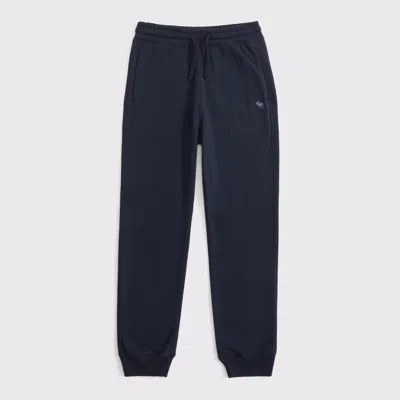 Abercrombie & Fitch Essential Icon Joggers In Purple