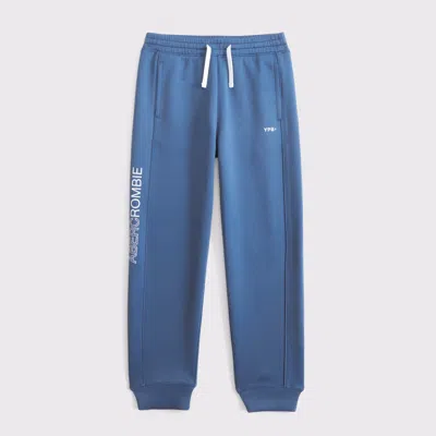 Abercrombie & Fitch Ypb Textured Joggers In Blue