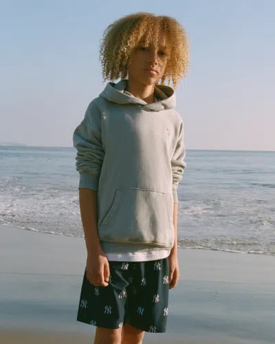 Abercrombie & Fitch New York Yankees Swim Trunks In Multi