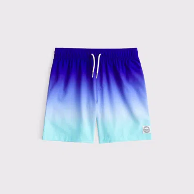 Abercrombie & Fitch Swim Trunks In Multi