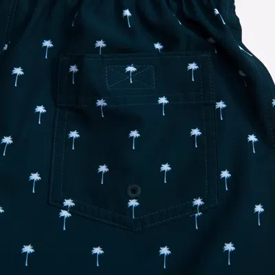 Abercrombie & Fitch Swim Trunks In Blue