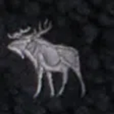 Abercrombie & Fitch Sherpa-lined Nylon Jacket In Black