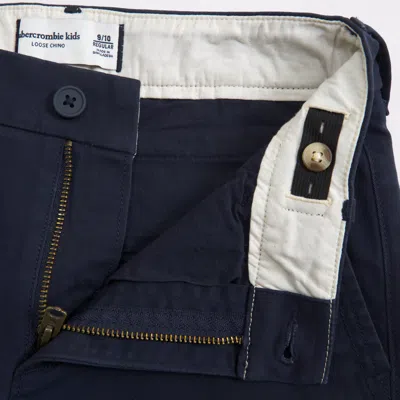 Abercrombie & Fitch Loose Twill Chinos In Purple