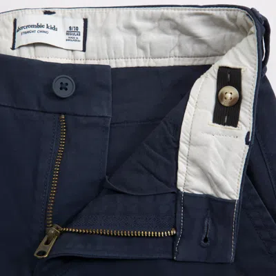 Abercrombie & Fitch Straight Twill Chinos In Purple