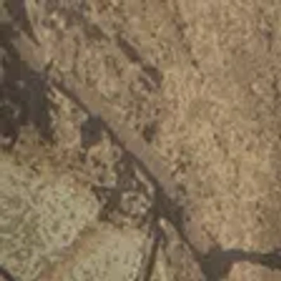 Abercrombie & Fitch Cargo Shorts In Multi