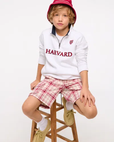 Abercrombie & Fitch Plaid Cargo Shorts In Pink