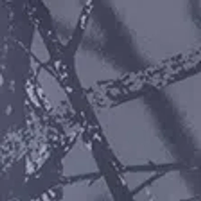 Abercrombie & Fitch Ypb Runtek Training Shorts In Gray