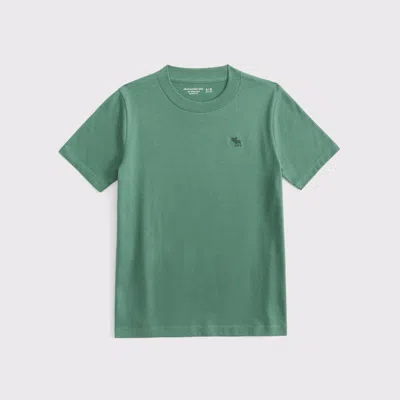 Abercrombie & Fitch Essential Icon Crew Tee In Green
