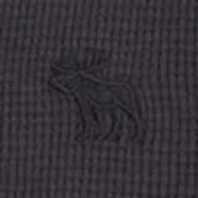 Abercrombie & Fitch Long-sleeve Waffle Icon Henley In Gray