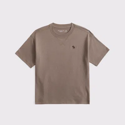 Abercrombie & Fitch Relaxed Stitch Tee In Brown