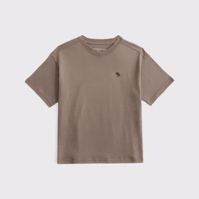 Abercrombie & Fitch Relaxed V-neck Tee In Brown