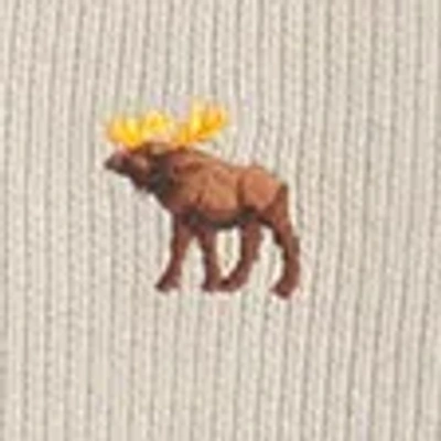 Abercrombie & Fitch Signature Icon Quarter-zip In Neutral