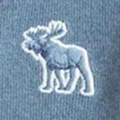 Abercrombie & Fitch Cozy Hooded Long-sleeve Tee In Blue