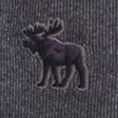 Abercrombie & Fitch Cozy Hooded Long-sleeve Tee In Gray