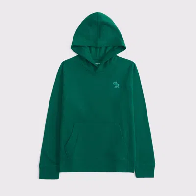 Abercrombie & Fitch Cozy Hooded Long-sleeve Tee In Green